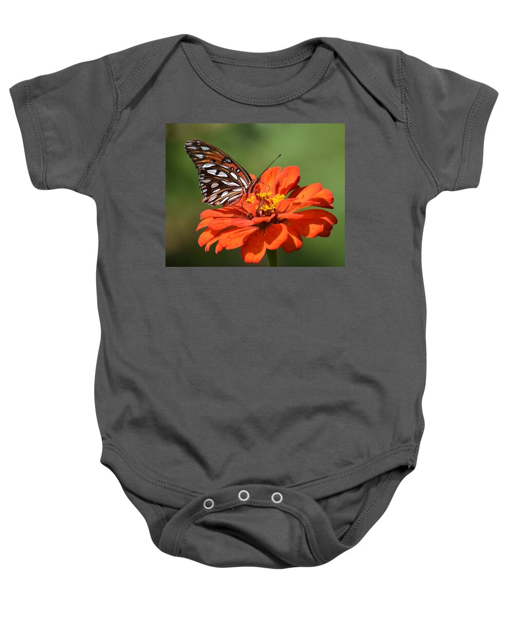 Gulf Fritillary Baby Onesie featuring the photograph Sipping Nectar by Chip Gilbert