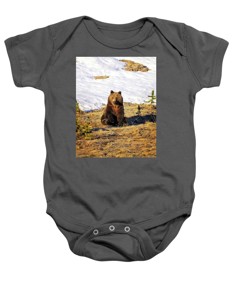 Grizzly Bear Baby Onesie featuring the photograph Sit Up And Take Notice by Greg Norrell
