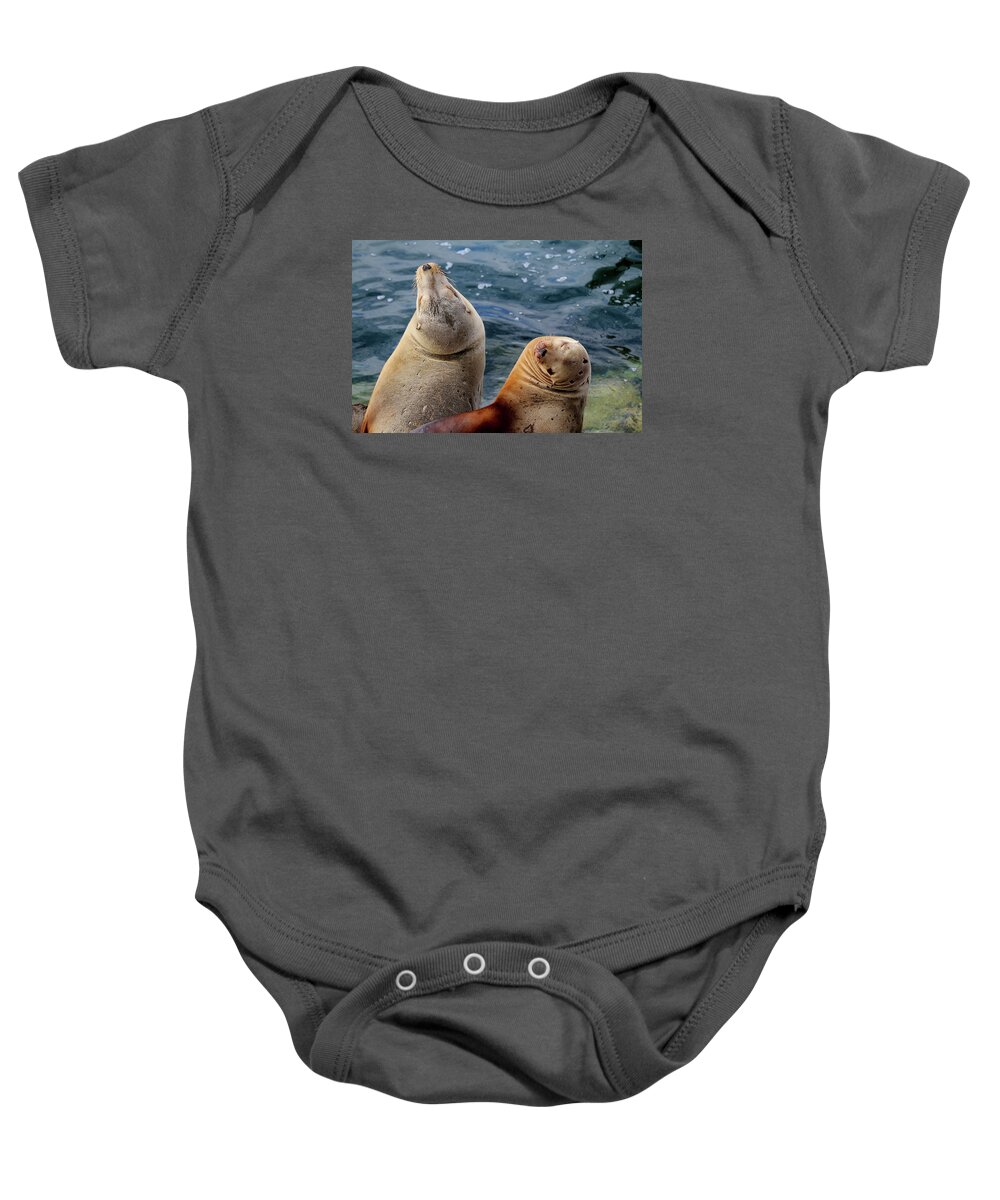 Sea Lions Baby Onesie featuring the photograph Sleeping Sea Lions by Art Block Collections