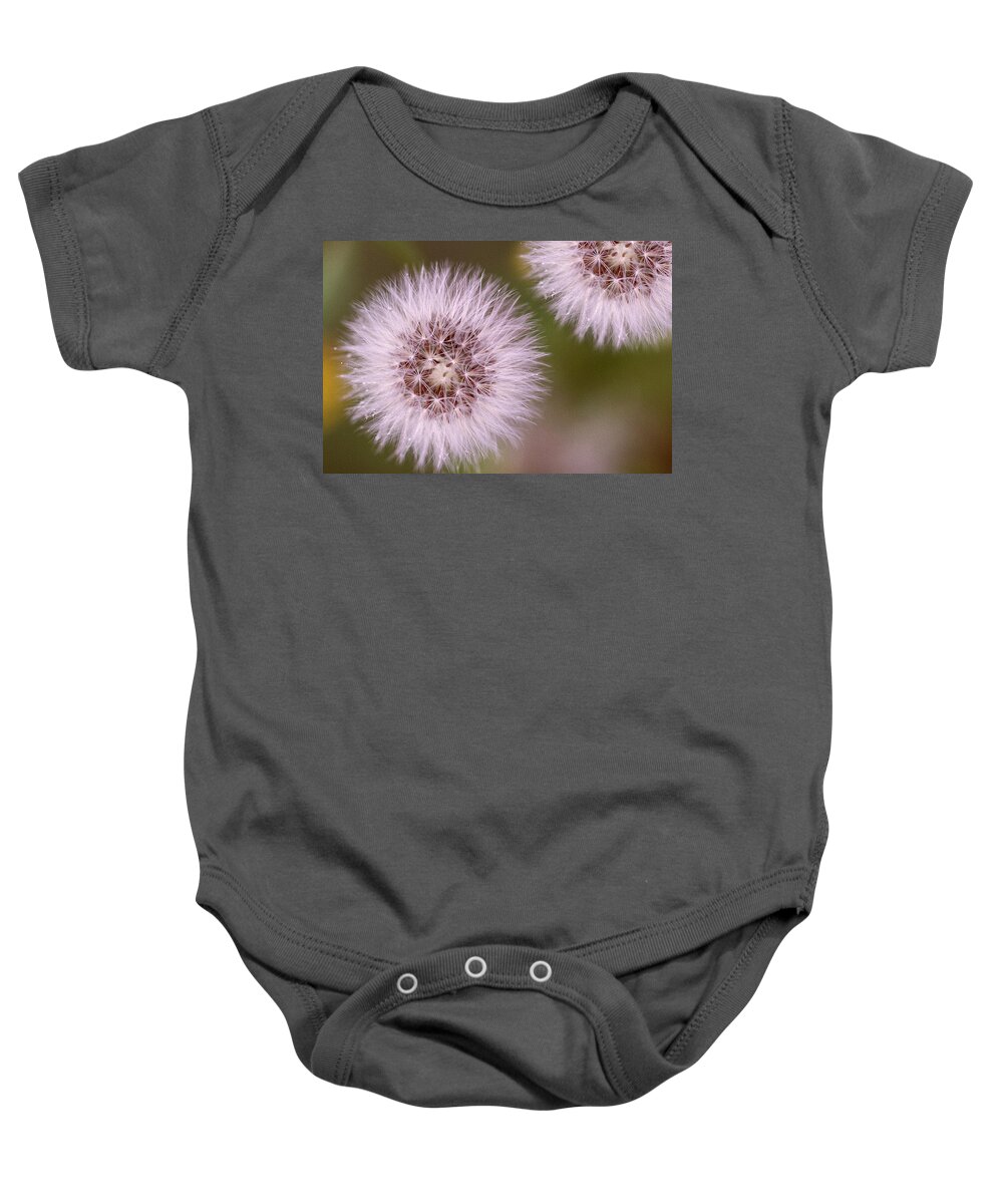 Seeds Baby Onesie featuring the photograph Small acts by Vanessa Thomas