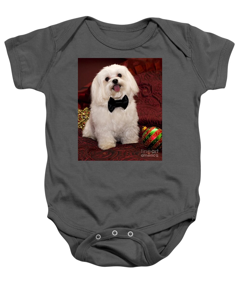 Maltese Baby Onesie featuring the photograph Smile by Leslie Leda