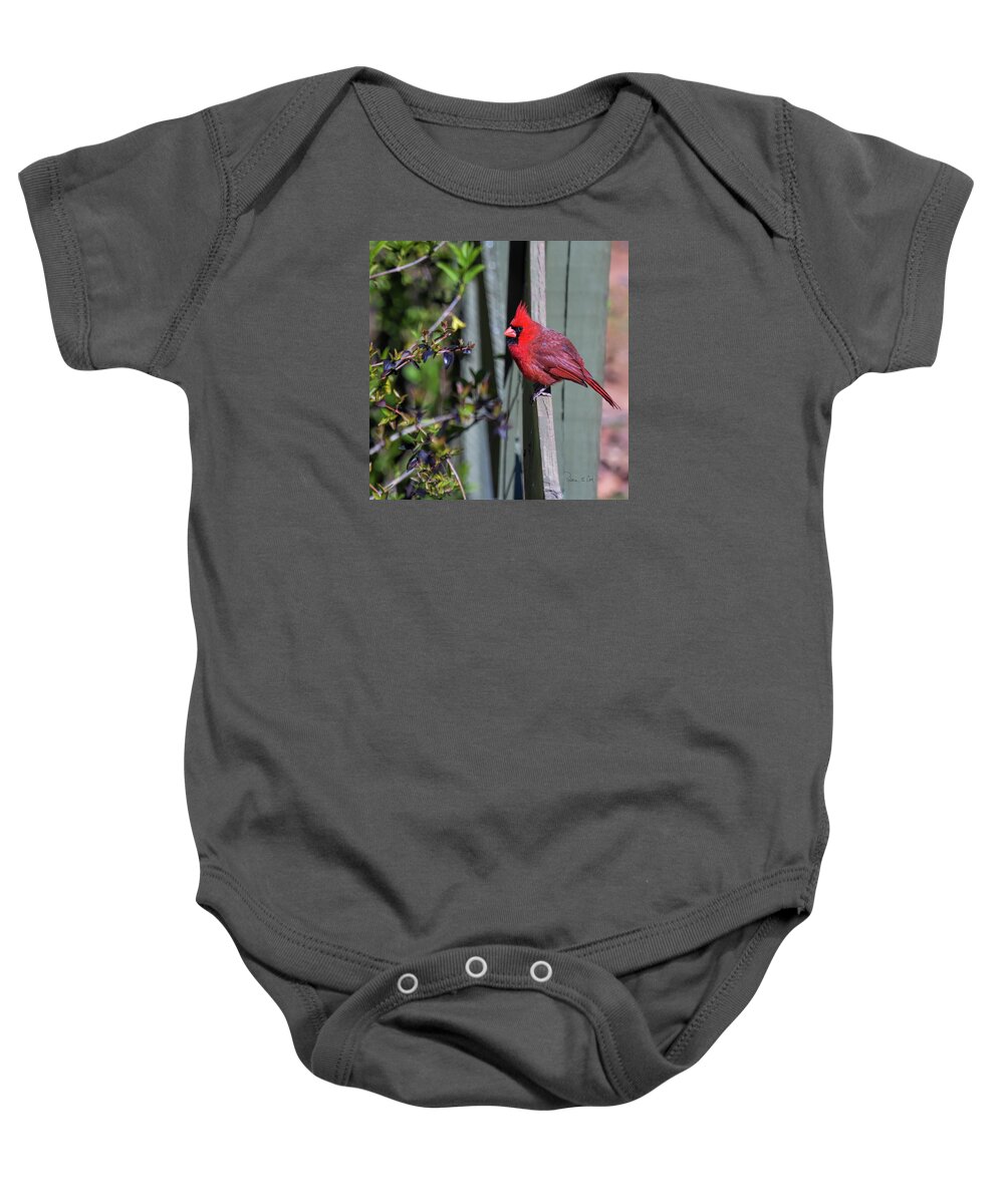Smiling Cardinal Baby Onesie featuring the photograph Smiling Cardinal by Bellesouth Studio