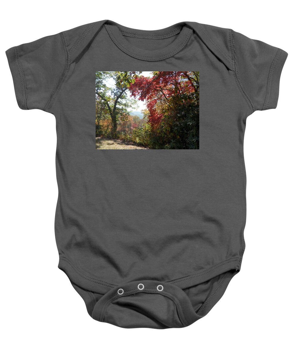 Smoky Mountains Baby Onesie featuring the photograph Smokies 13 by Val Oconnor