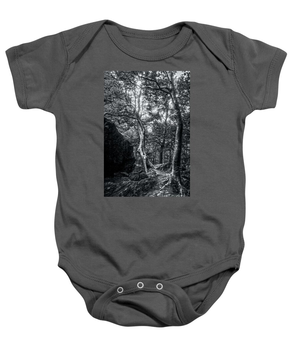 Trees Baby Onesie featuring the photograph Smugglers' Notch Vermont Trees and Roots 5 by James Aiken
