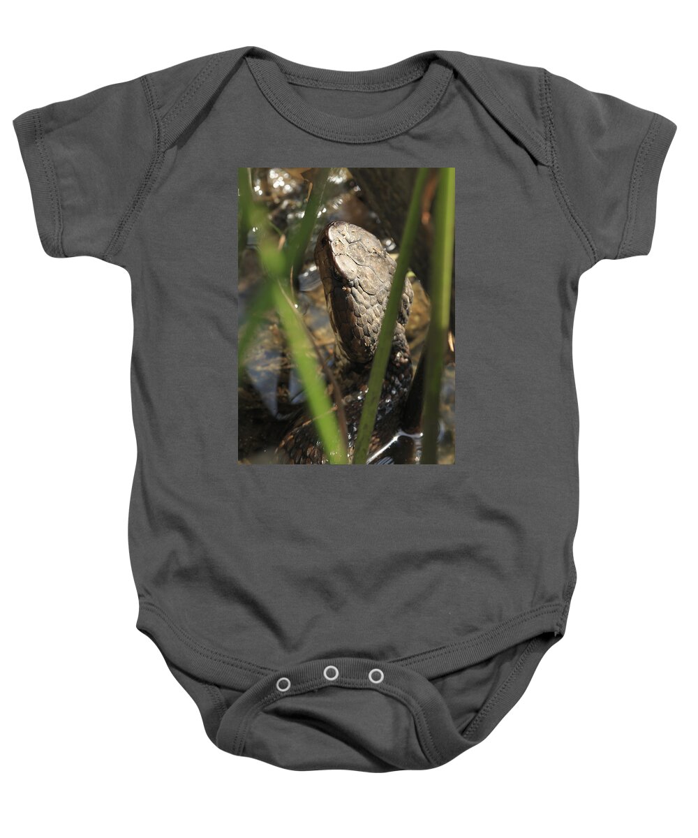 Brown Baby Onesie featuring the photograph Snake in the Water by Travis Rogers