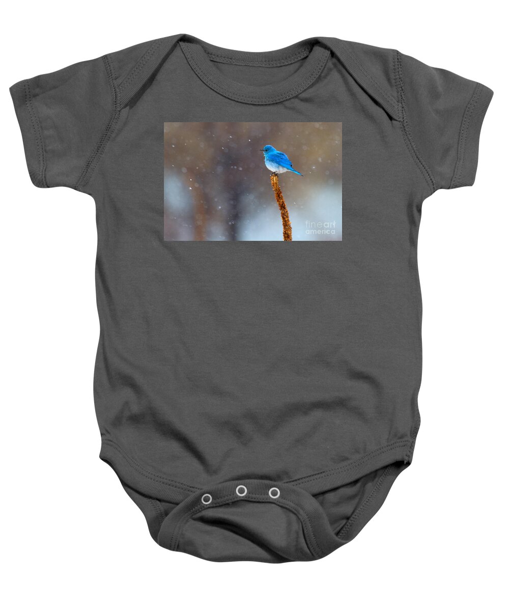 Bluebird Baby Onesie featuring the photograph Snow Bird by Jim Garrison