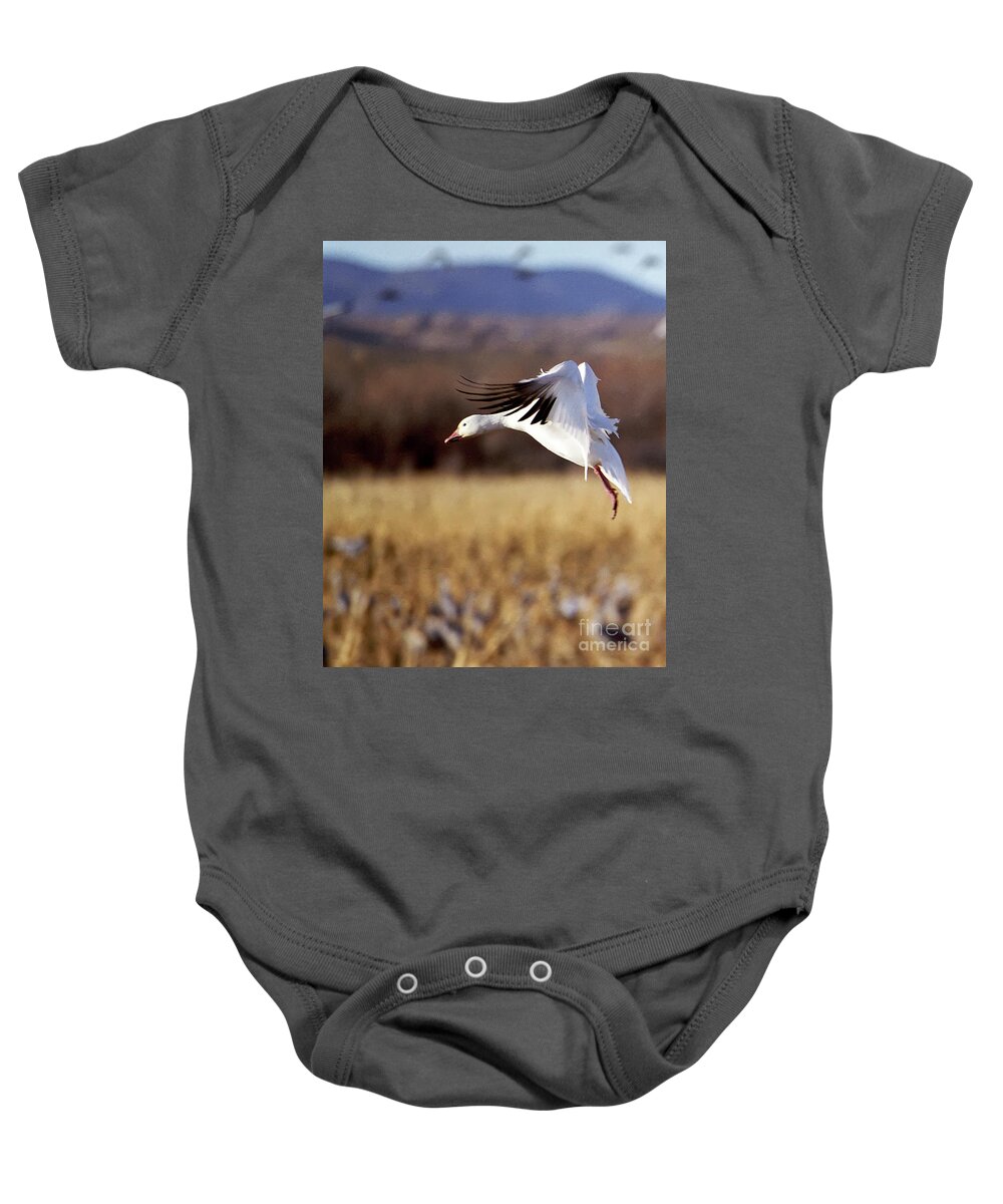 Bosque Baby Onesie featuring the photograph Snow Goose by Steven Ralser