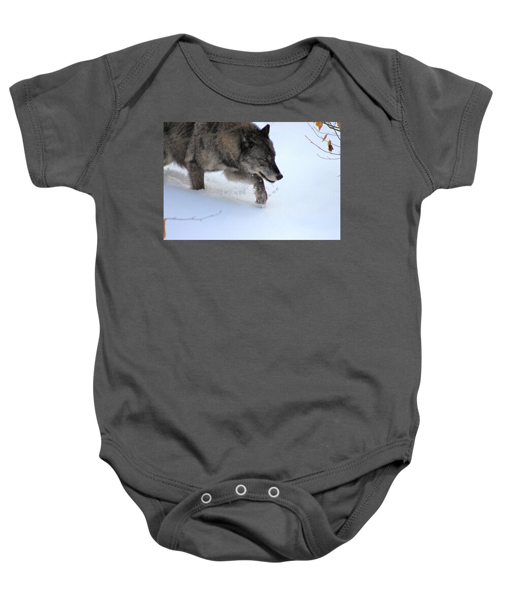 Wolf Baby Onesie featuring the photograph Snow Walker by Azthet Photography