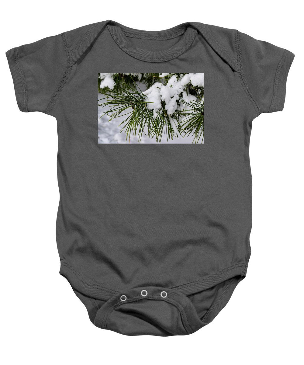 Snow Baby Onesie featuring the photograph Snowy Branch by Nicole Lloyd