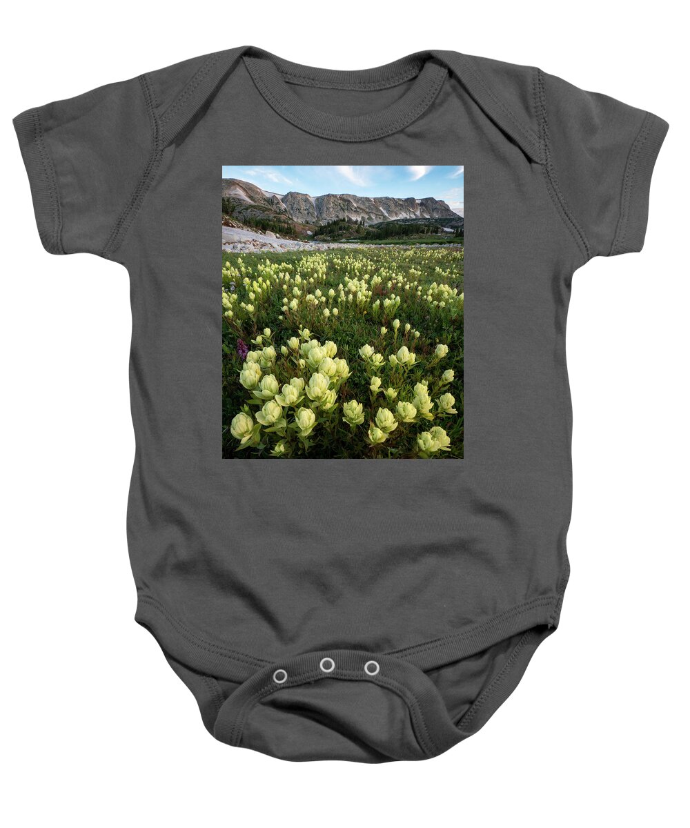 Indian Paintbrush Baby Onesie featuring the photograph Snowy Range Paintbrush by Emily Dickey