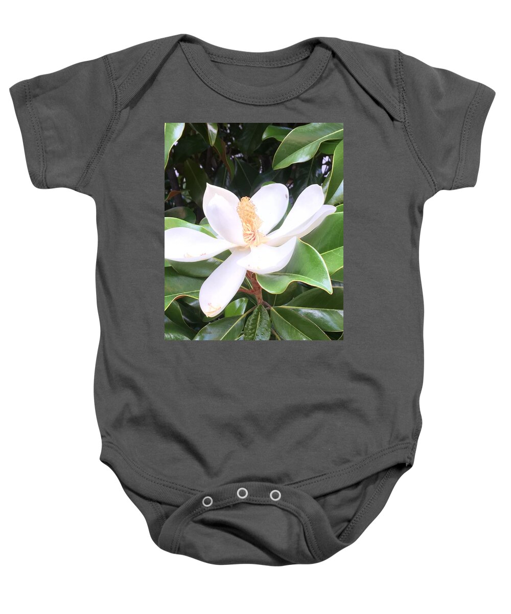 Magnolia Baby Onesie featuring the photograph Soft Magnolia by Pamela Henry