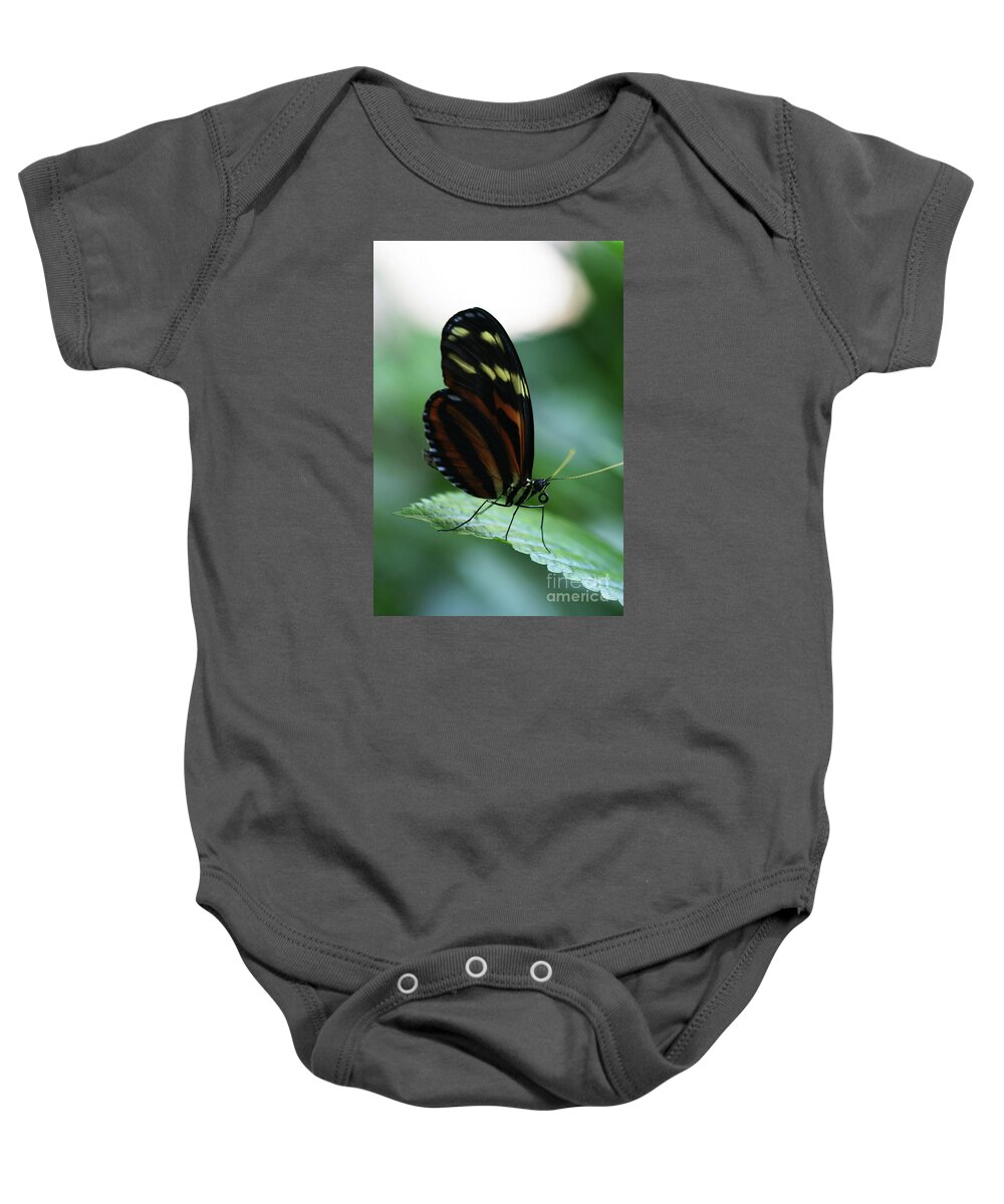 Butterfly Baby Onesie featuring the photograph Soft Touch by Linda Shafer