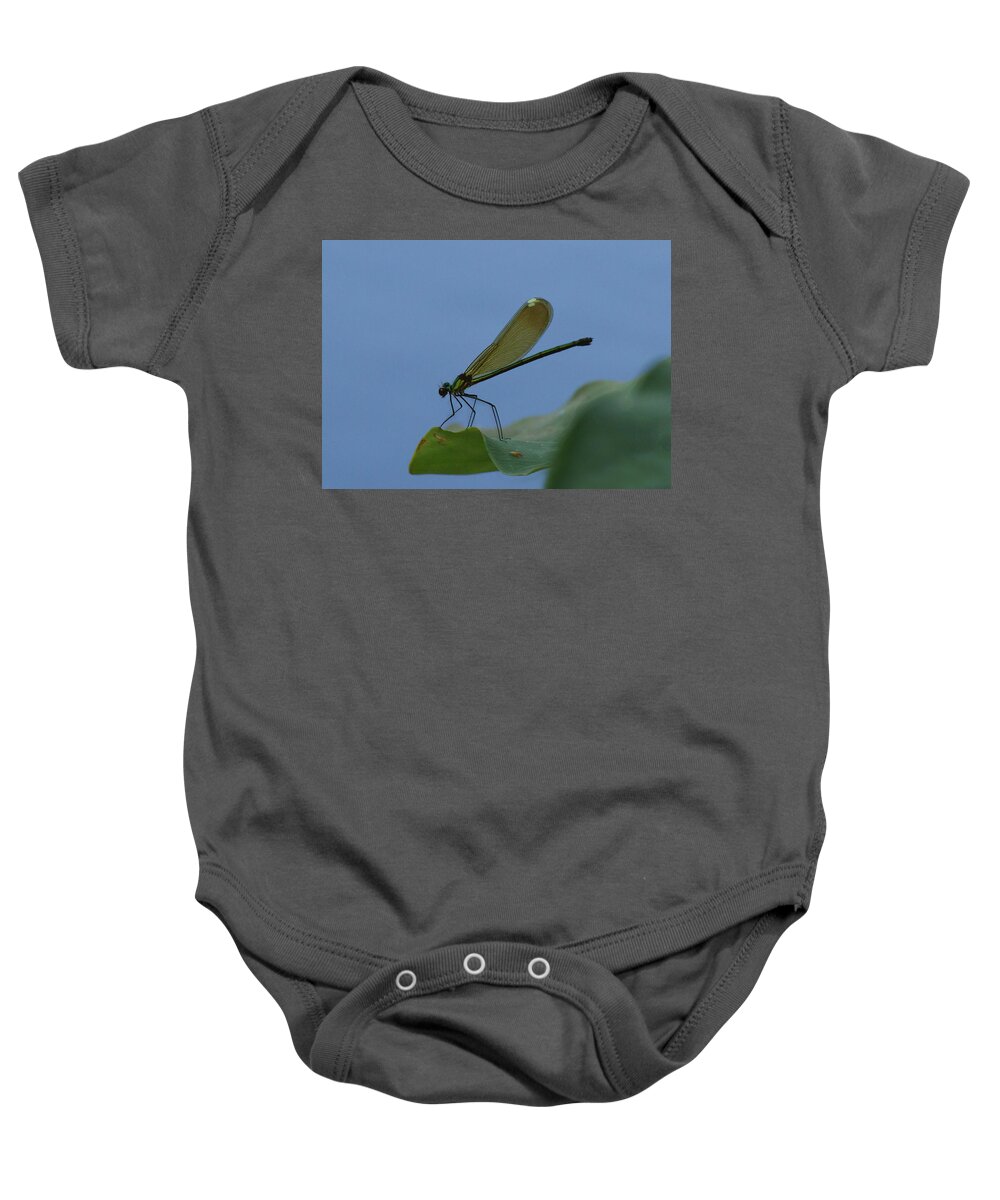 Damselfly Baby Onesie featuring the photograph Sparkling Jewelwing #2 by Paul Rebmann