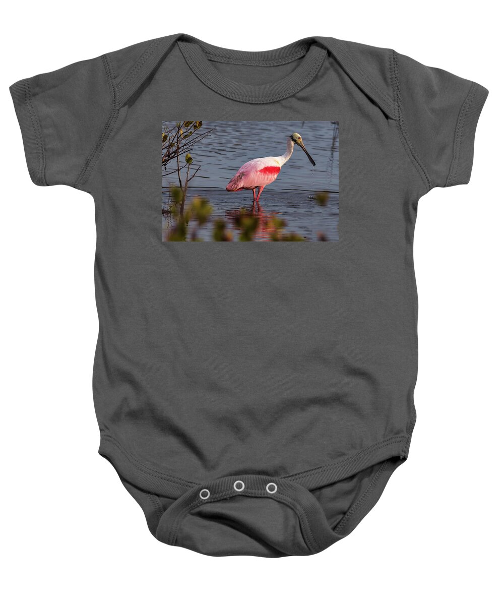 Birds Baby Onesie featuring the photograph Spoonbill Fishing by Norman Peay