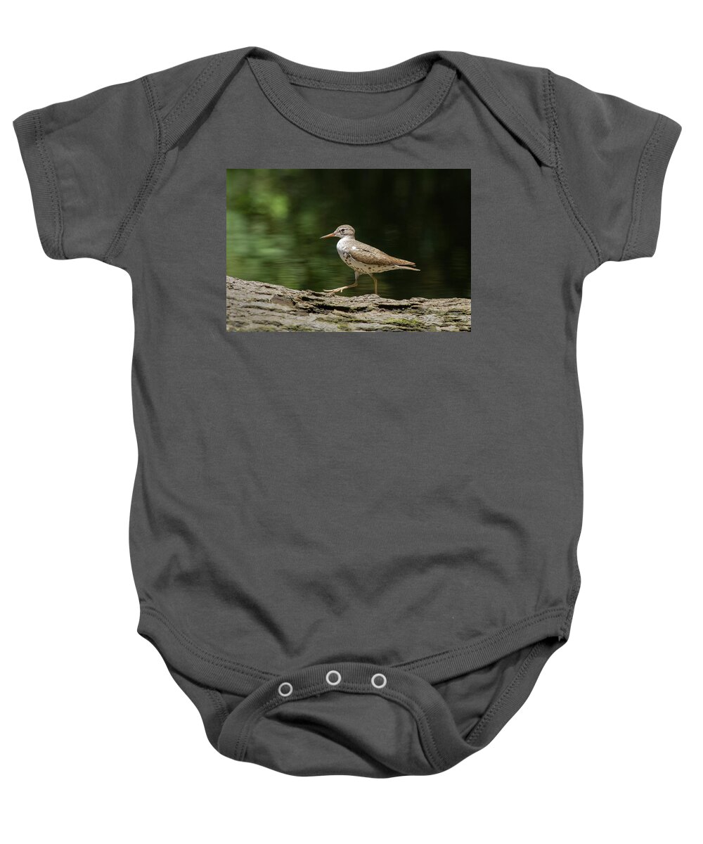 Sandpiper Baby Onesie featuring the photograph Spotted Sandpiper by Paul Rebmann