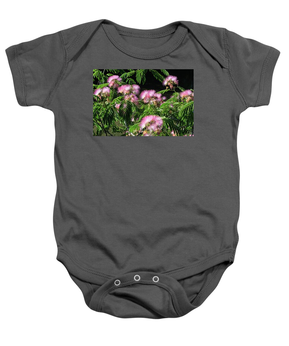 Wildlife Baby Onesie featuring the photograph Spread The News by John Benedict