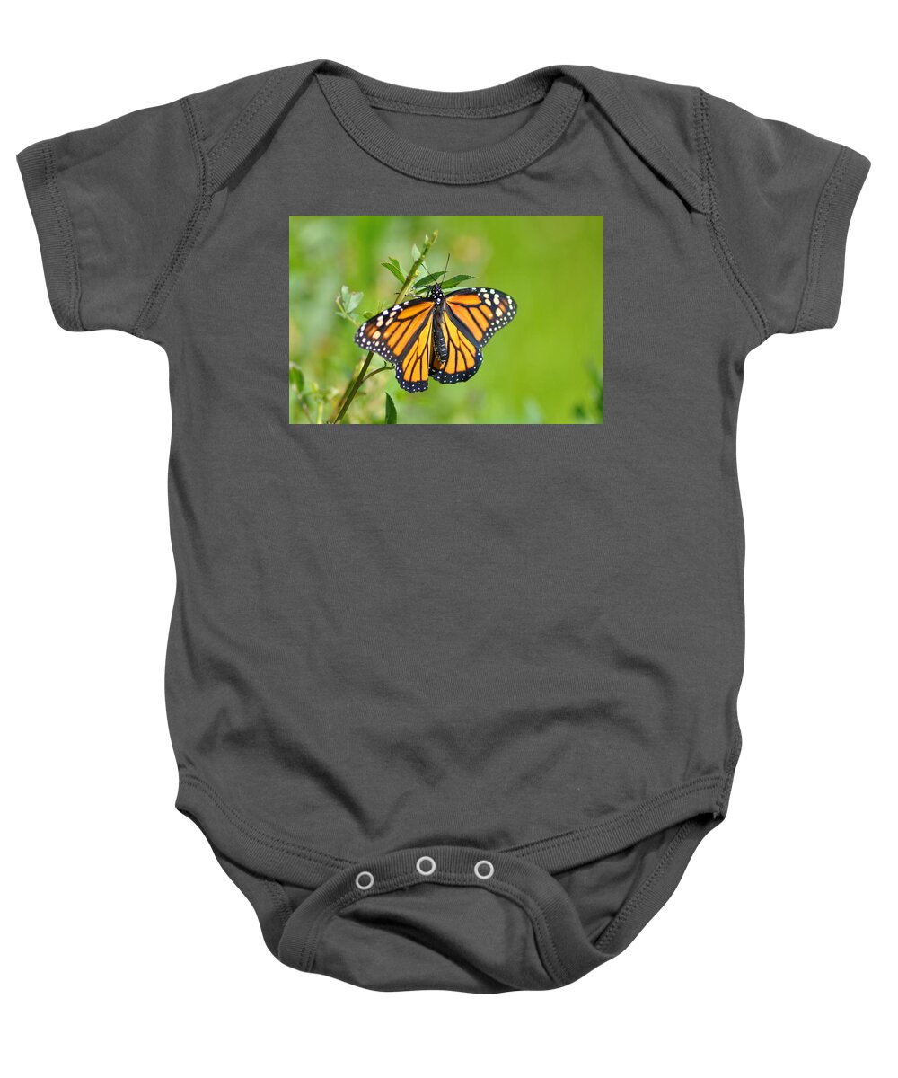 Butterfly Baby Onesie featuring the photograph Spread Your Wings by Bill Cannon