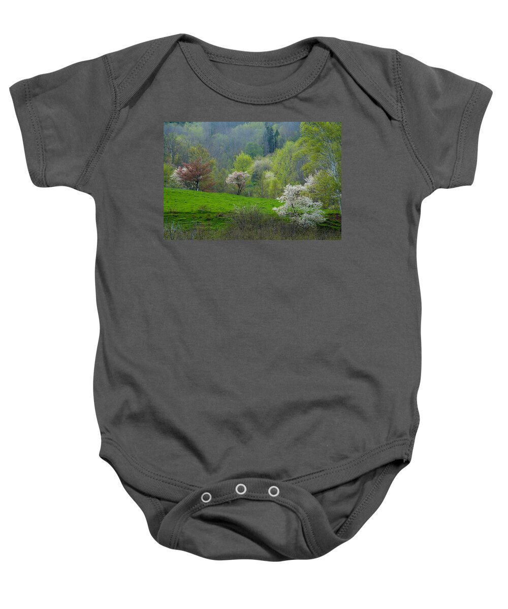 Spring Baby Onesie featuring the photograph Spring Time At Blomidon #1 by Irwin Barrett