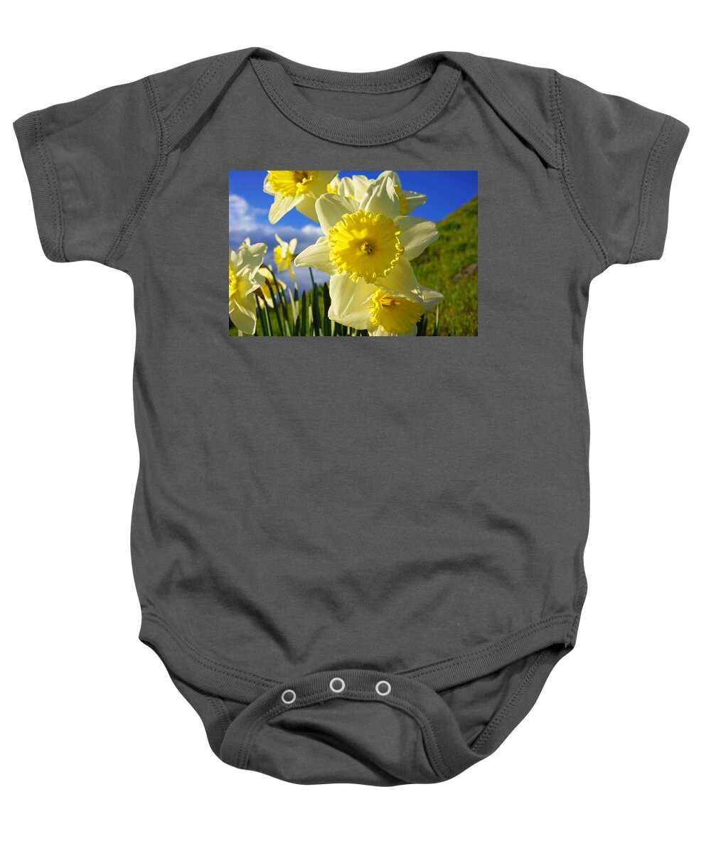 Blue Baby Onesie featuring the photograph Springtime Bright Sunny Daffodils Art Prints by Patti Baslee