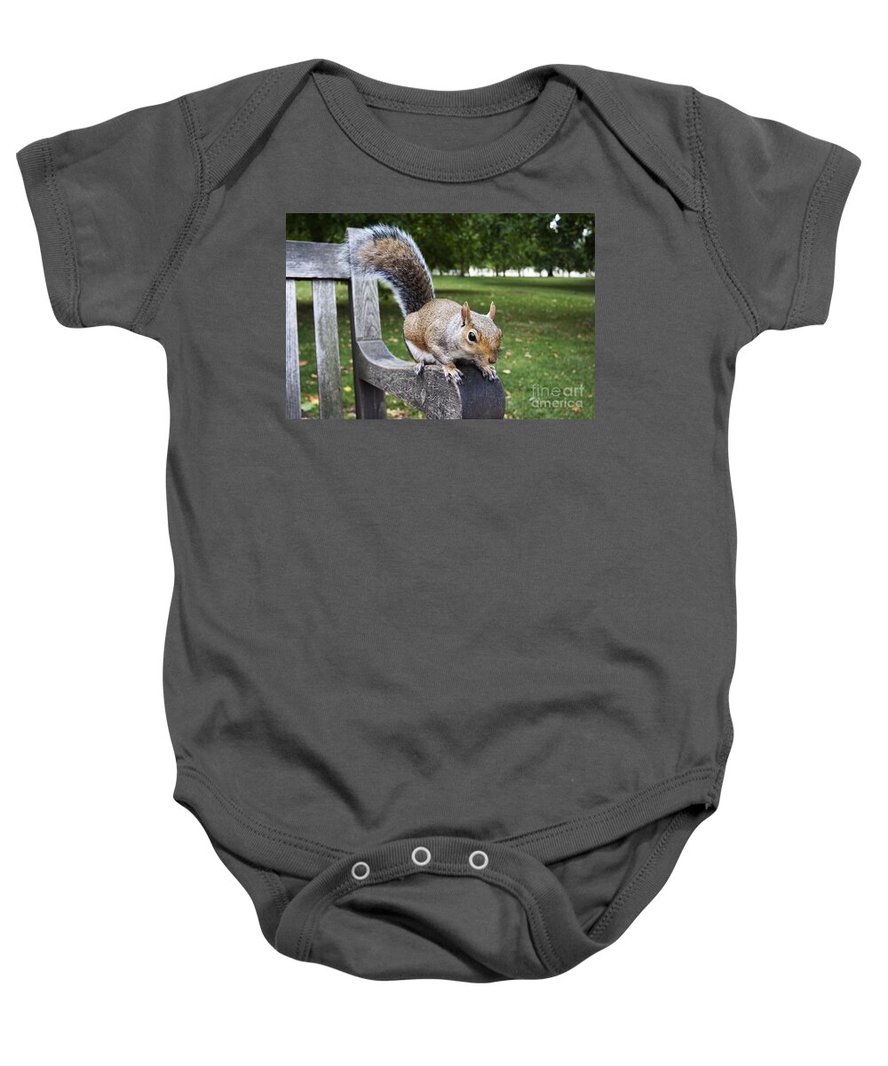 Bank Baby Onesie featuring the photograph Squirrel Bench by Agusti Pardo Rossello