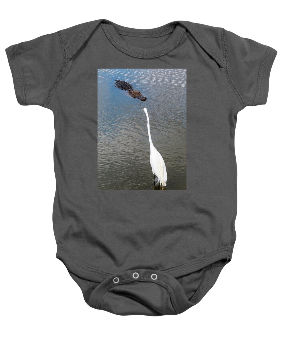 Alligator Baby Onesie featuring the photograph Staredown at Hunting Beach State Park - March 31, 2017 by D K Wall