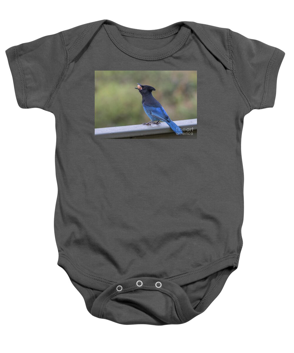 Steller's Jay Baby Onesie featuring the photograph Steller's Jay by Eva Lechner