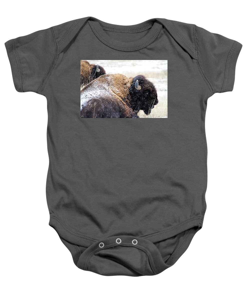 Buffalo Baby Onesie featuring the photograph Storm Riders by Jim Garrison