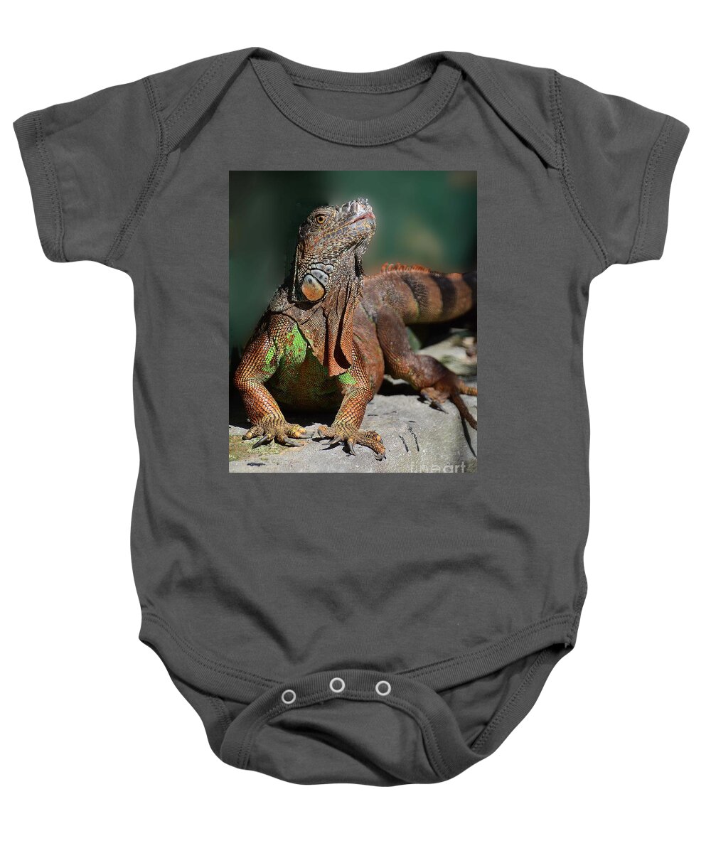 Iguana Baby Onesie featuring the photograph Strike a Pose by Cindy Manero