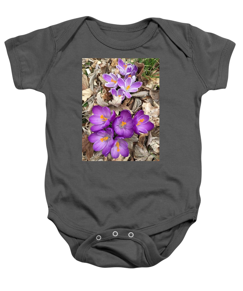 Crocus Baby Onesie featuring the painting Striped Beauty and Purple Sensation Crocuses by Rand Burns