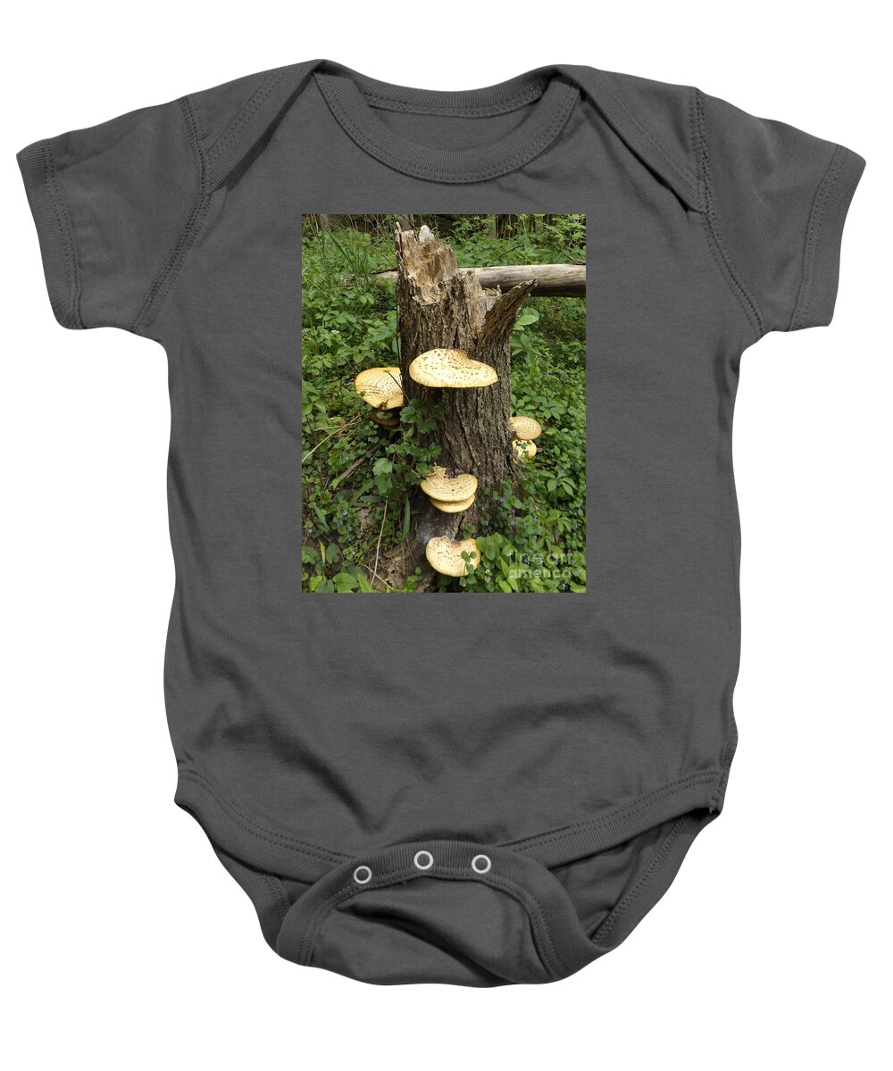 Nature Baby Onesie featuring the photograph Stump with Mushrooms by Erick Schmidt