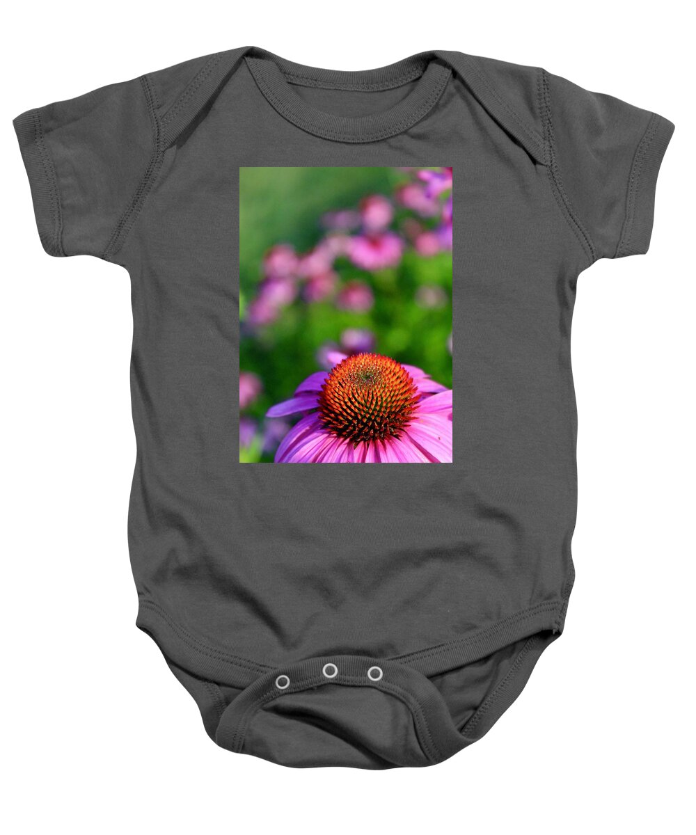 Photograph Baby Onesie featuring the photograph Stunning Purple Cone Flower Field by M E