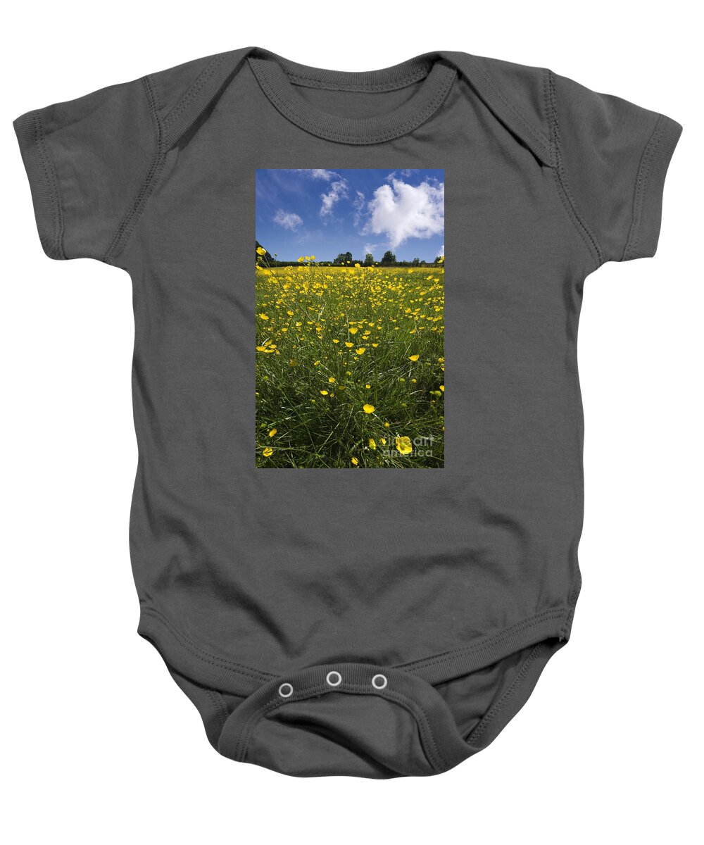 Agriculture Baby Onesie featuring the photograph Summer Buttercups by Meirion Matthias