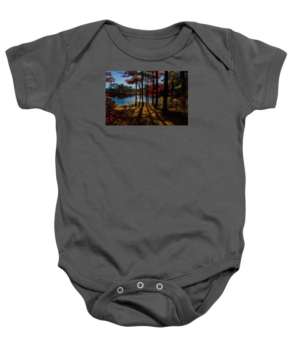 Trees Baby Onesie featuring the photograph Sun Through The Trees by Linda Howes