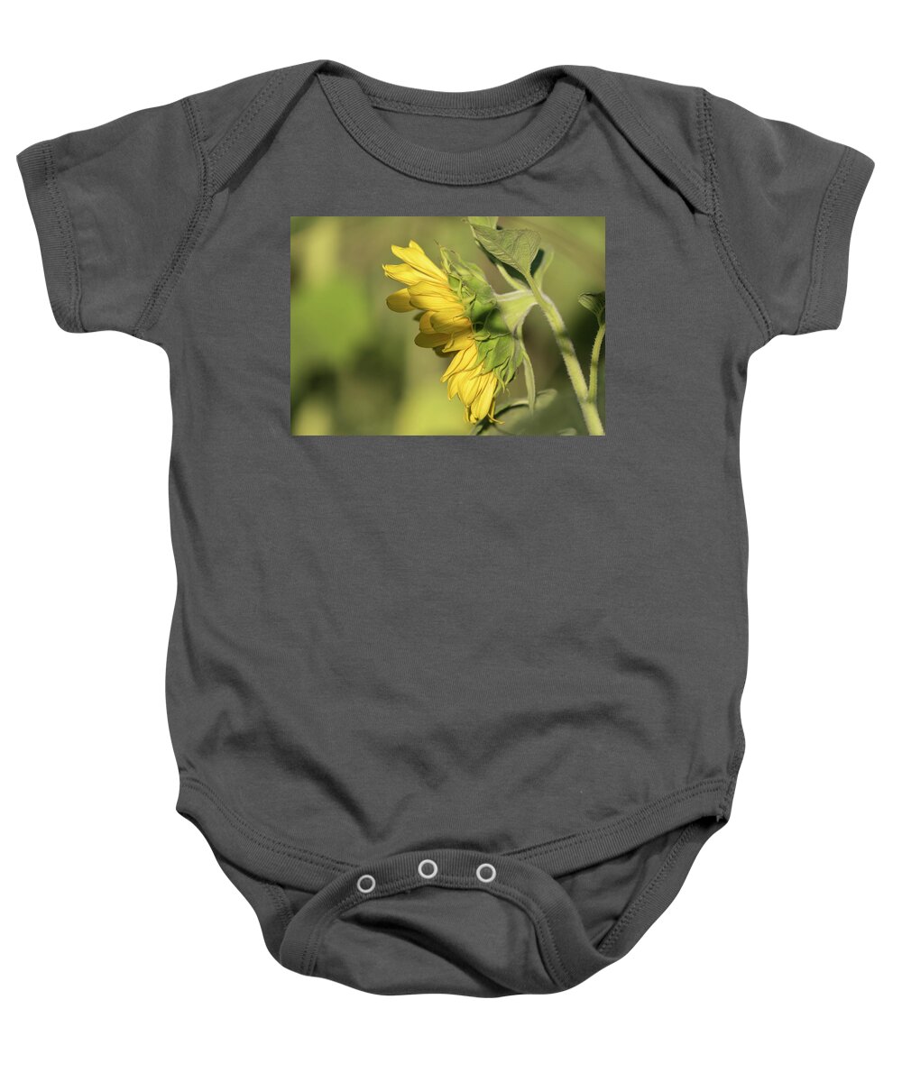 Sunflower Baby Onesie featuring the photograph Sunflower 2016-1 by Thomas Young
