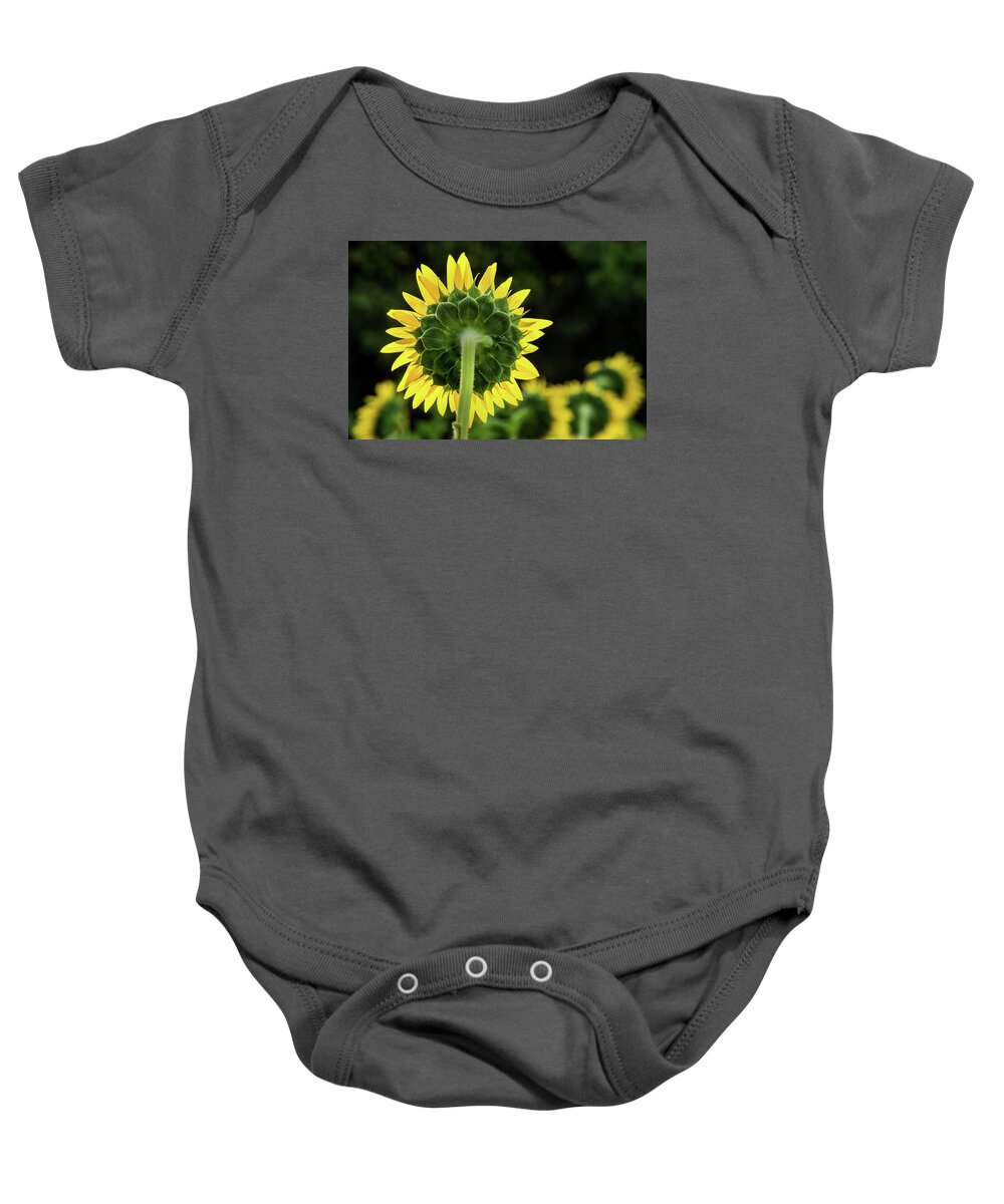 Sunflower Baby Onesie featuring the photograph Sunflower Back by Don Johnson