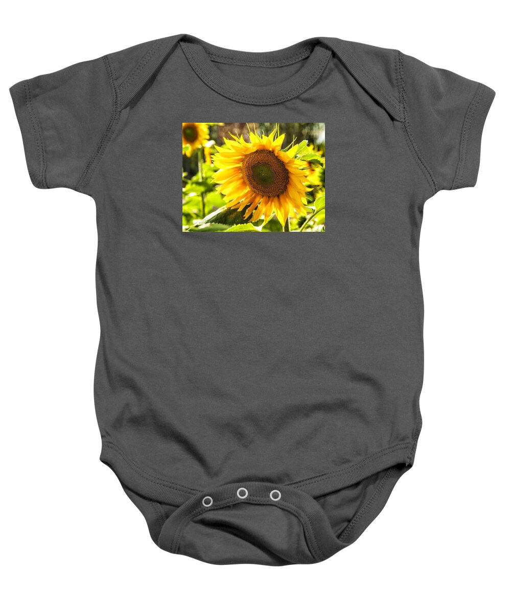 Blue Baby Onesie featuring the photograph Sunflower - Backlit. by John Paul Cullen