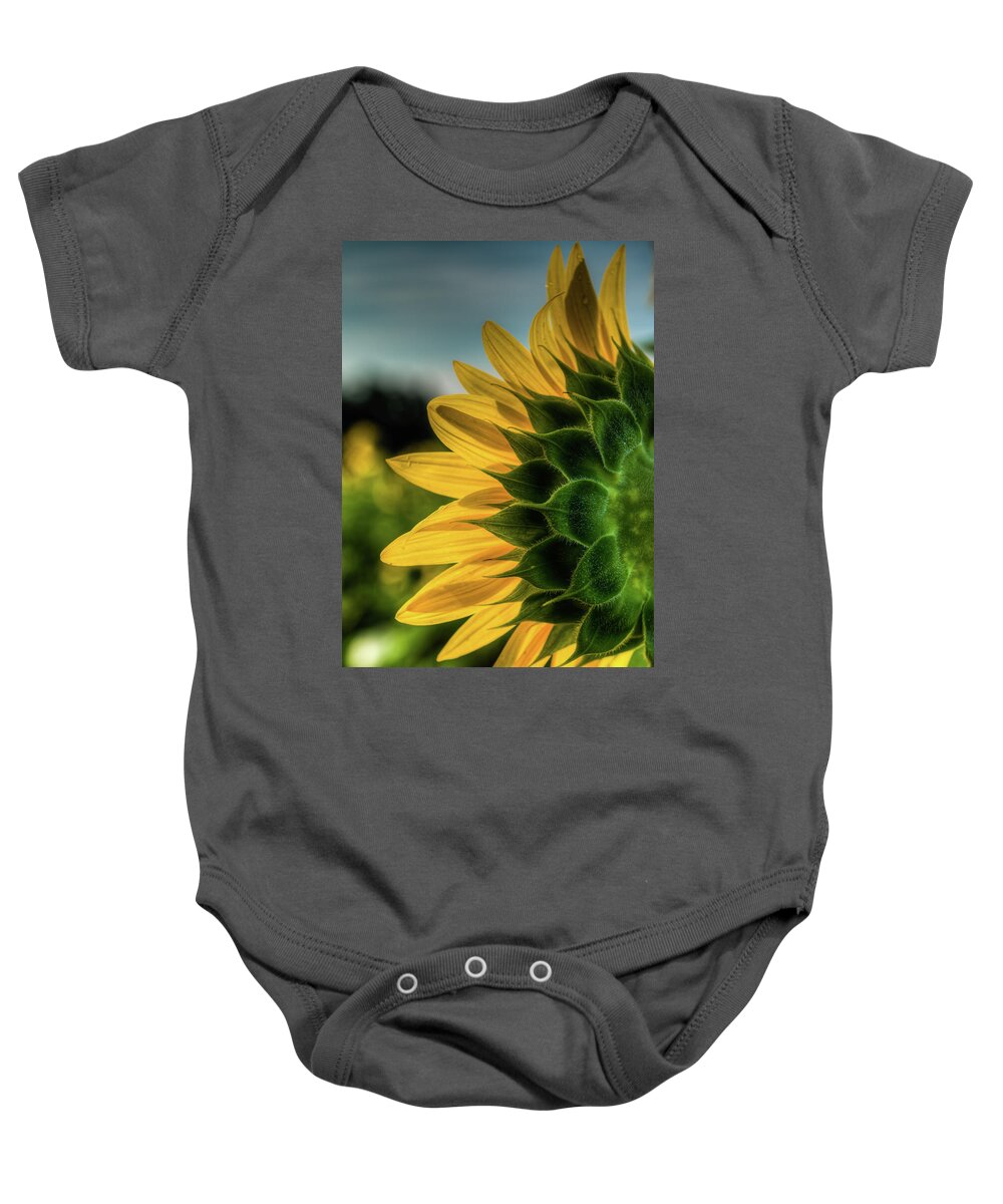 Bloom Baby Onesie featuring the photograph Sunflower Blooming Detailed by Dennis Dame