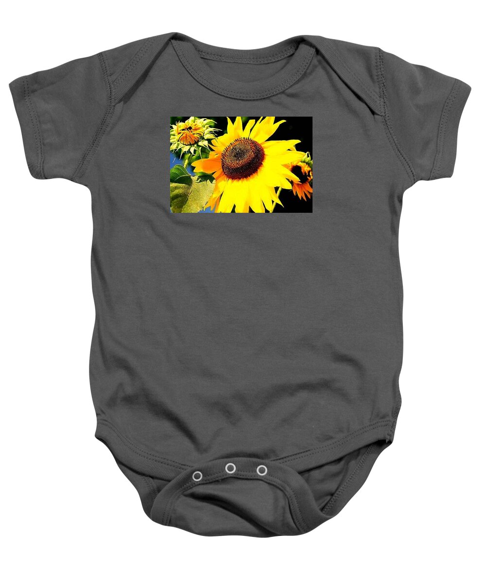  Baby Onesie featuring the photograph Sunflower by FD Graham