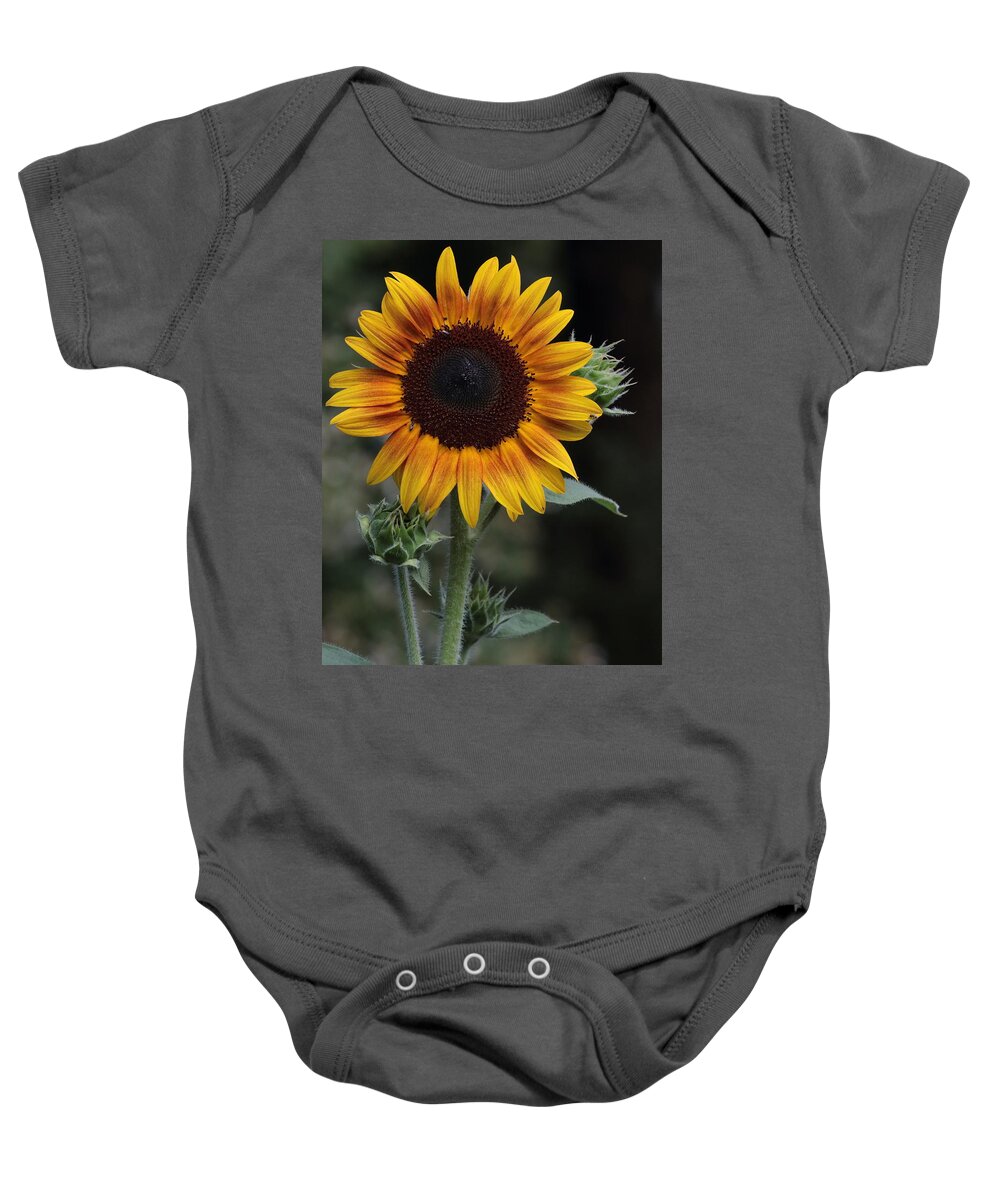 Sunflower Baby Onesie featuring the photograph Sunflower by John Moyer