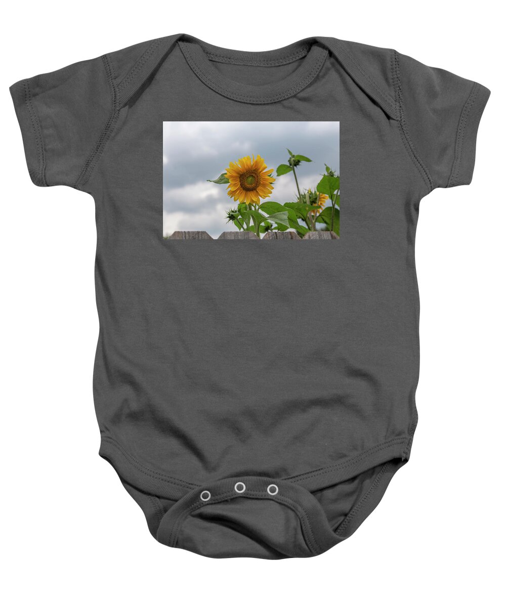 Sunflowers Baby Onesie featuring the photograph Sunflowers 2018-1 by Thomas Young