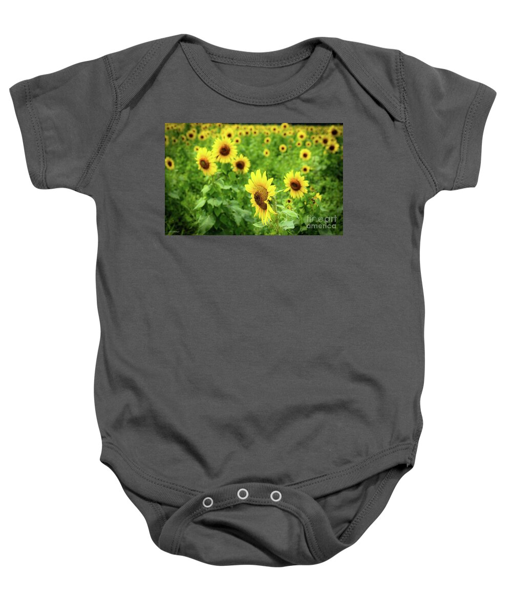 Sunflowers Baby Onesie featuring the photograph Sunflowers in Memphis IV by Veronica Batterson