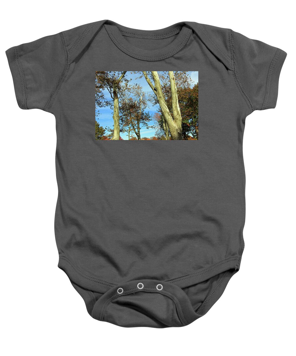  Baby Onesie featuring the photograph Sunlight On Bark by Cora Wandel