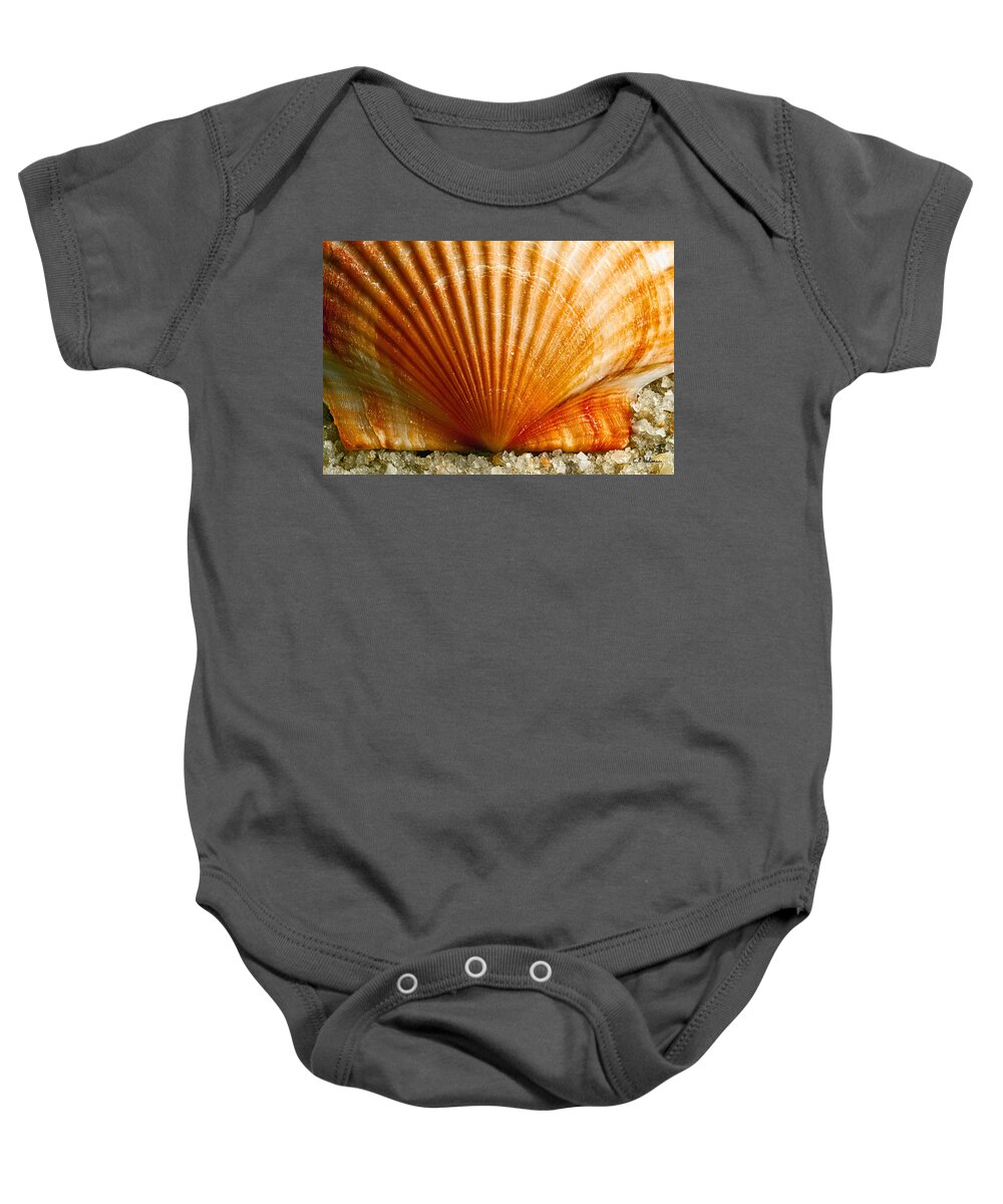 Shell Baby Onesie featuring the photograph Sunrise On Shell by Christopher Holmes