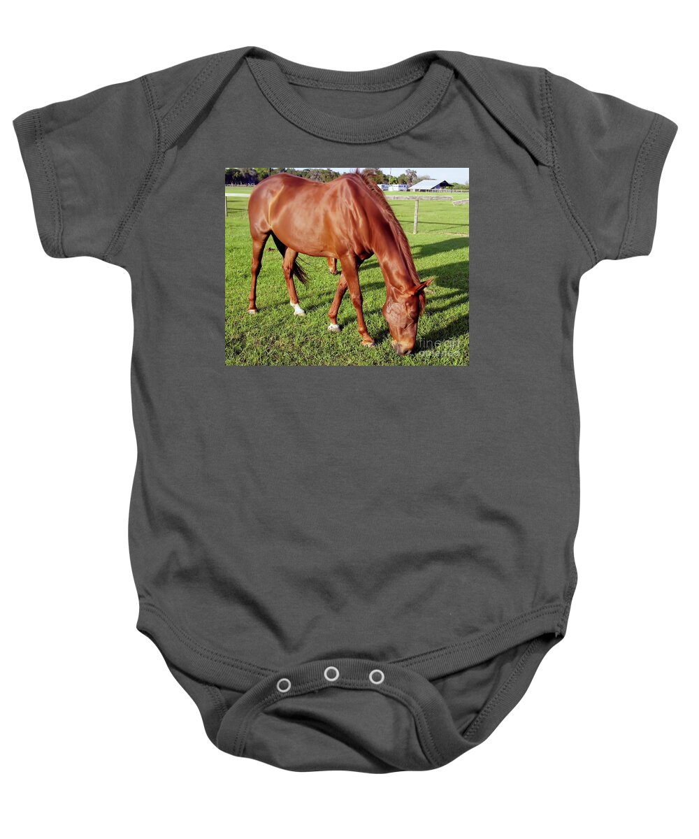 Horse Baby Onesie featuring the photograph Sunshine Horse by D Hackett