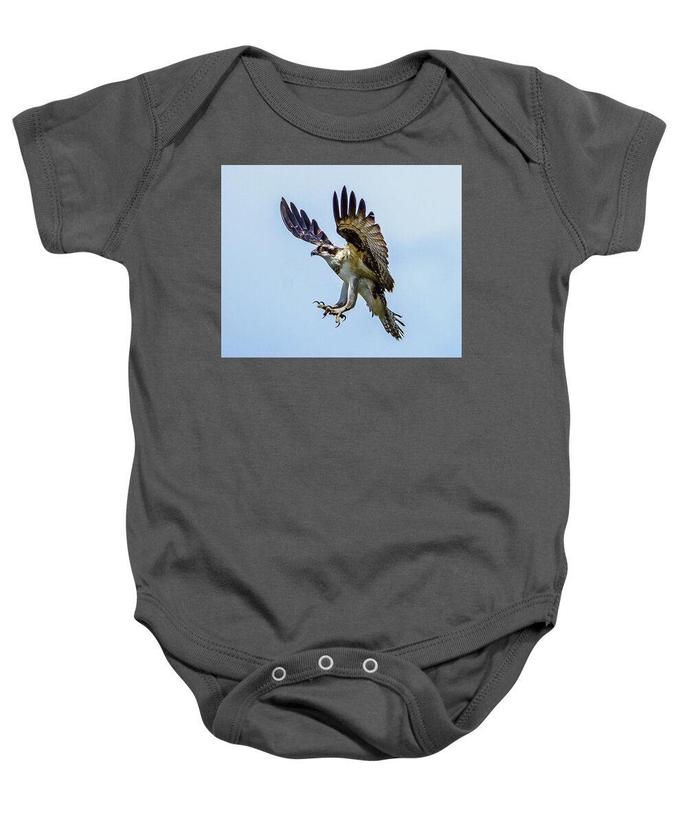 Osprey Baby Onesie featuring the photograph Suspended Osprey by Jerry Cahill