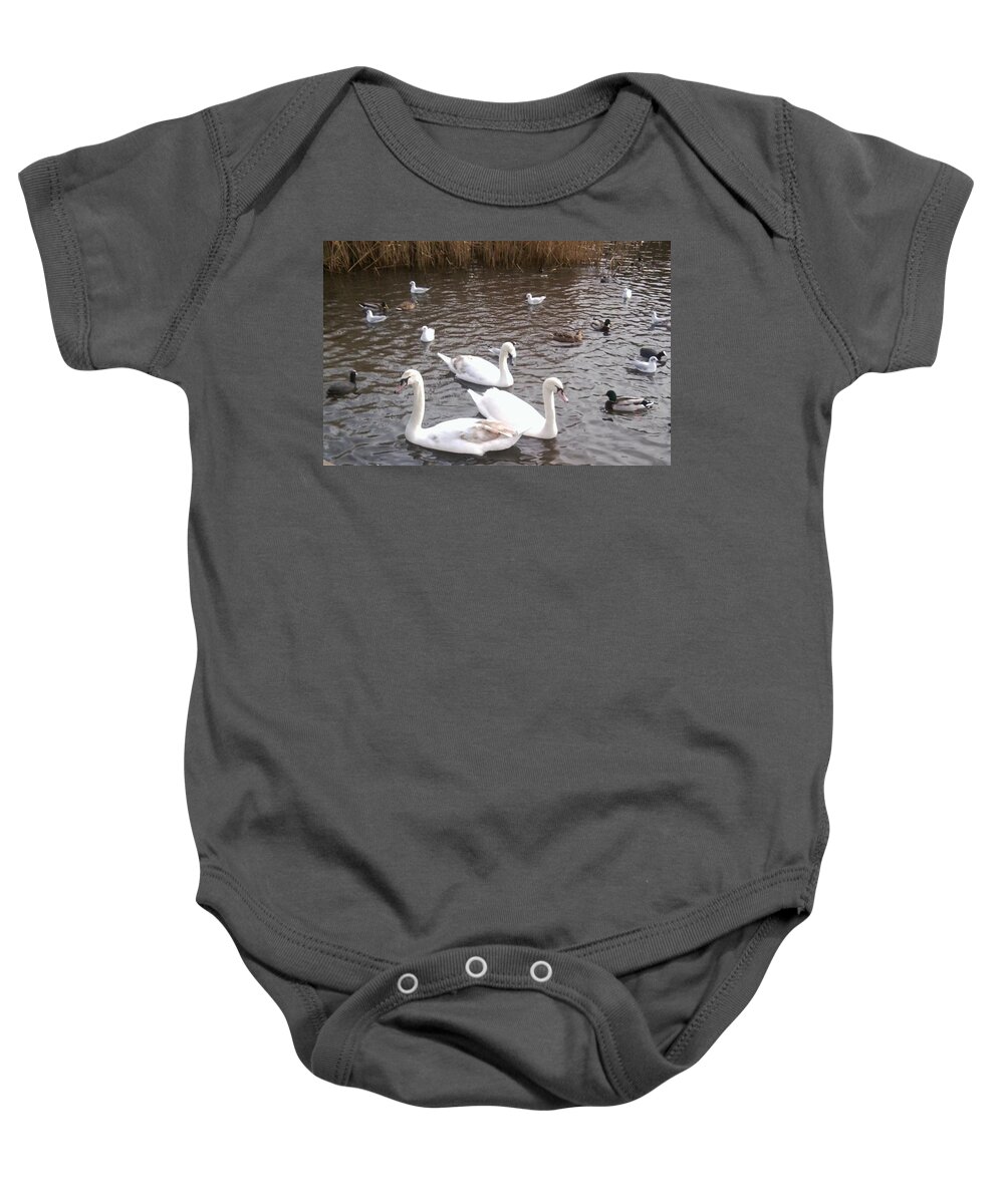 Swan Baby Onesie featuring the photograph Swans 3 by Julia Woodman