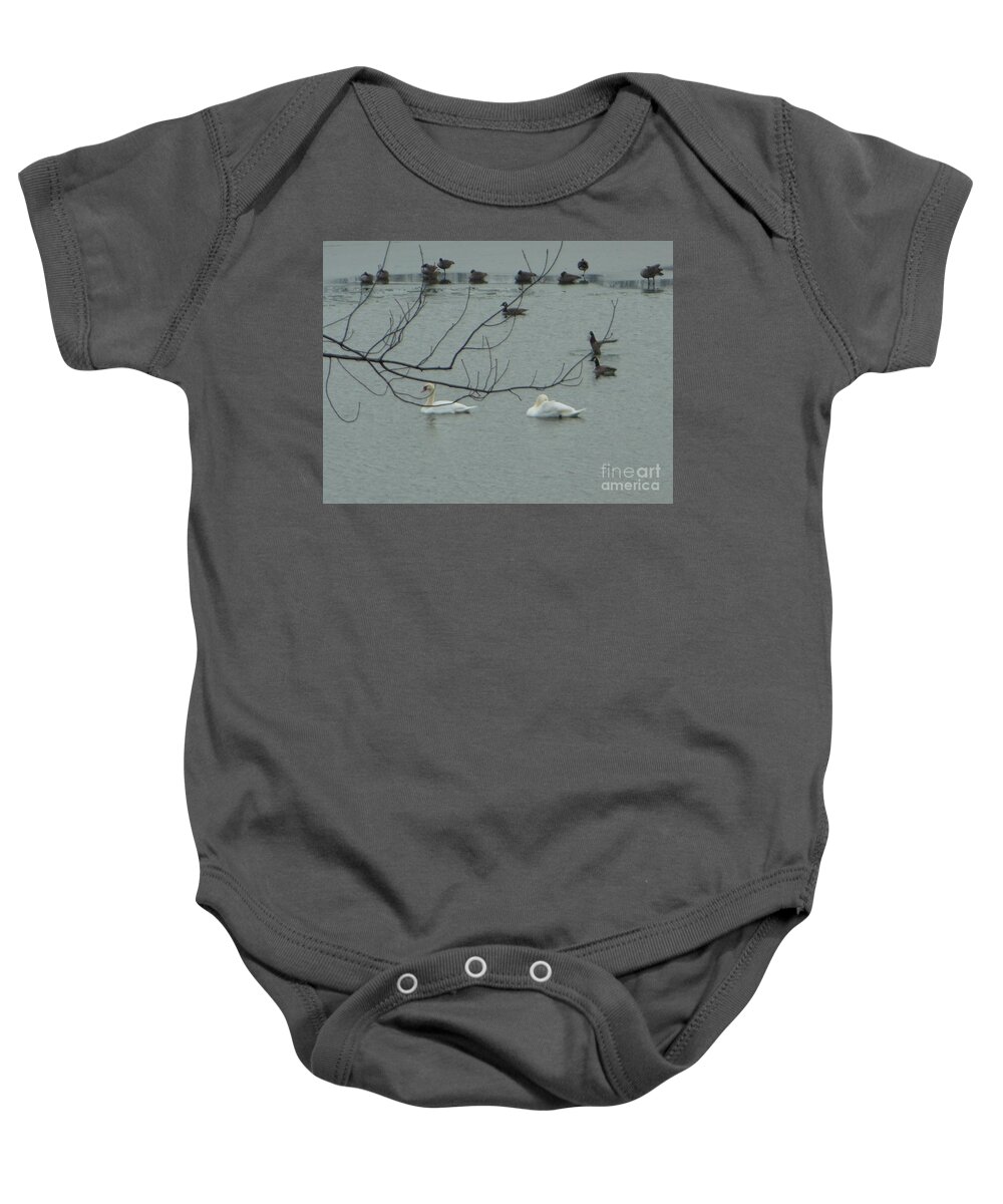 Swans Baby Onesie featuring the photograph Swans with Geese by Rockin Docks Deluxephotos