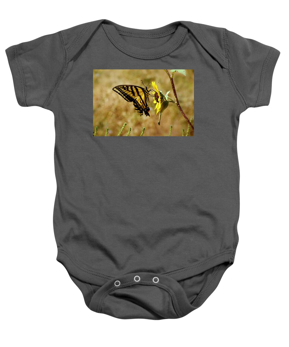 Swallowtail Baby Onesie featuring the photograph Sweet Summertime by Debra Martz