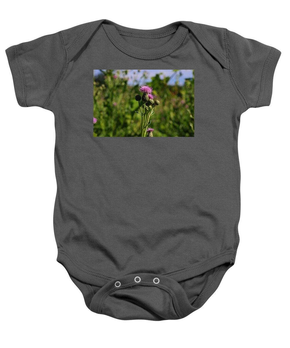 Thistle Baby Onesie featuring the photograph Swirls of Sanity by Michiale Schneider