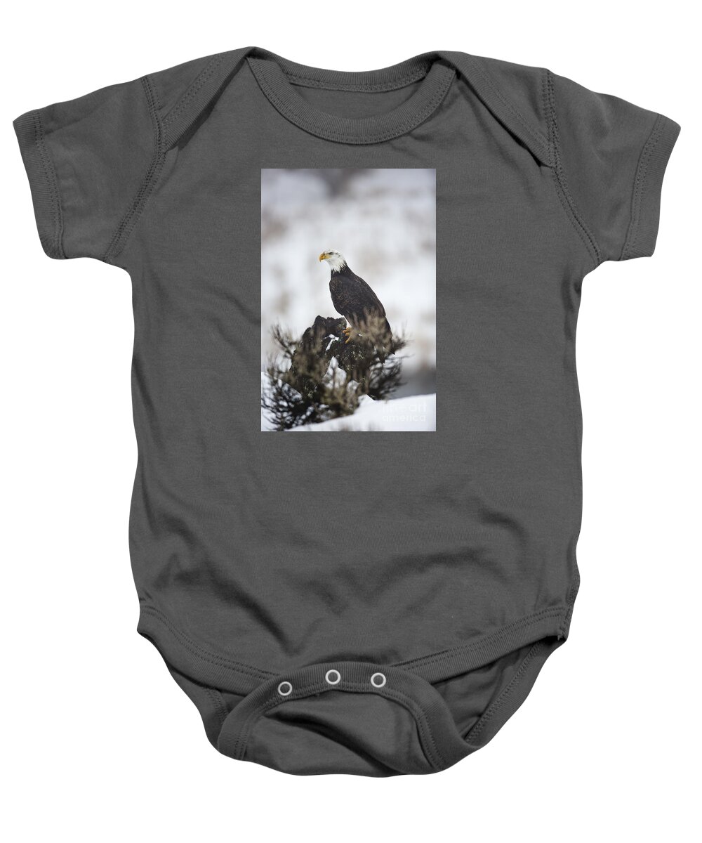 American Baby Onesie featuring the photograph Symbol by Douglas Kikendall
